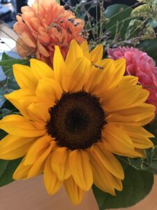 Verhaltensstörungen