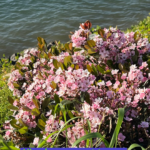 Alles kann - nichts muss 