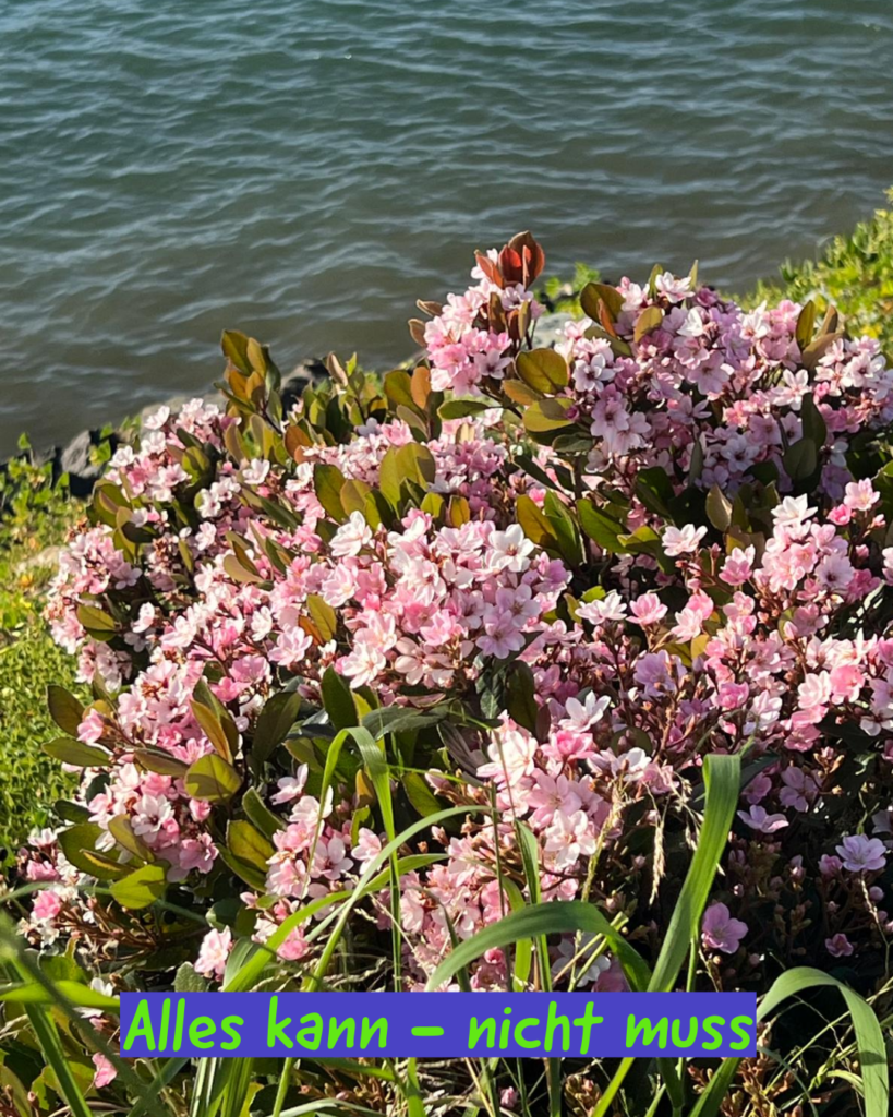 Alles kann - nichts muss 