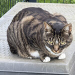 Wir dürfen unserer Intuition vertrauen 