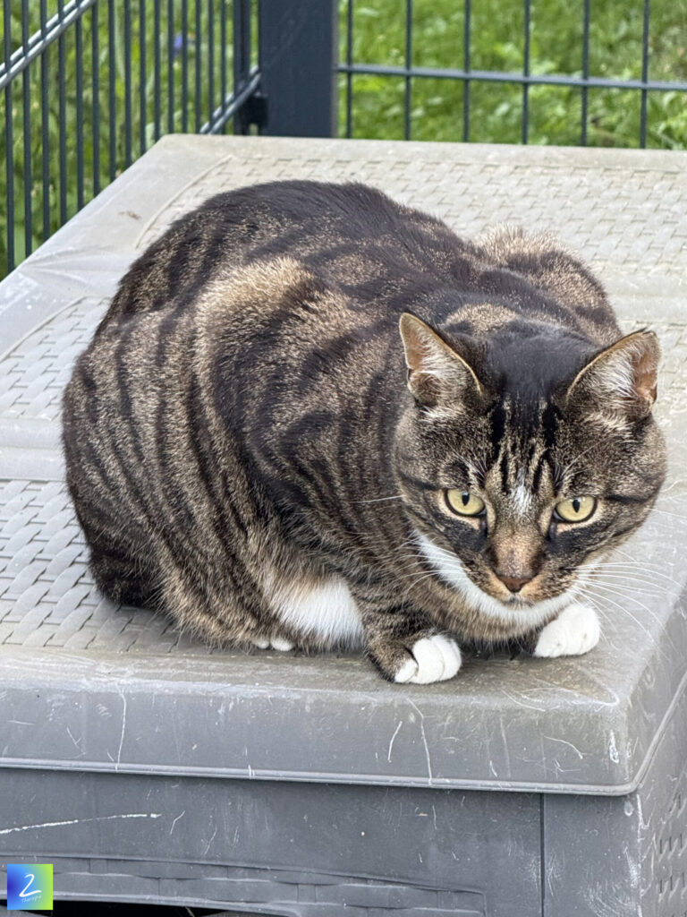 Wir dürfen unserer Intuition vertrauen 