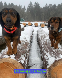 Ehrenamtlich arbeiten 