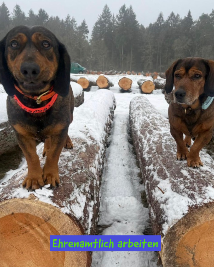 Ehrenamtlich arbeiten 