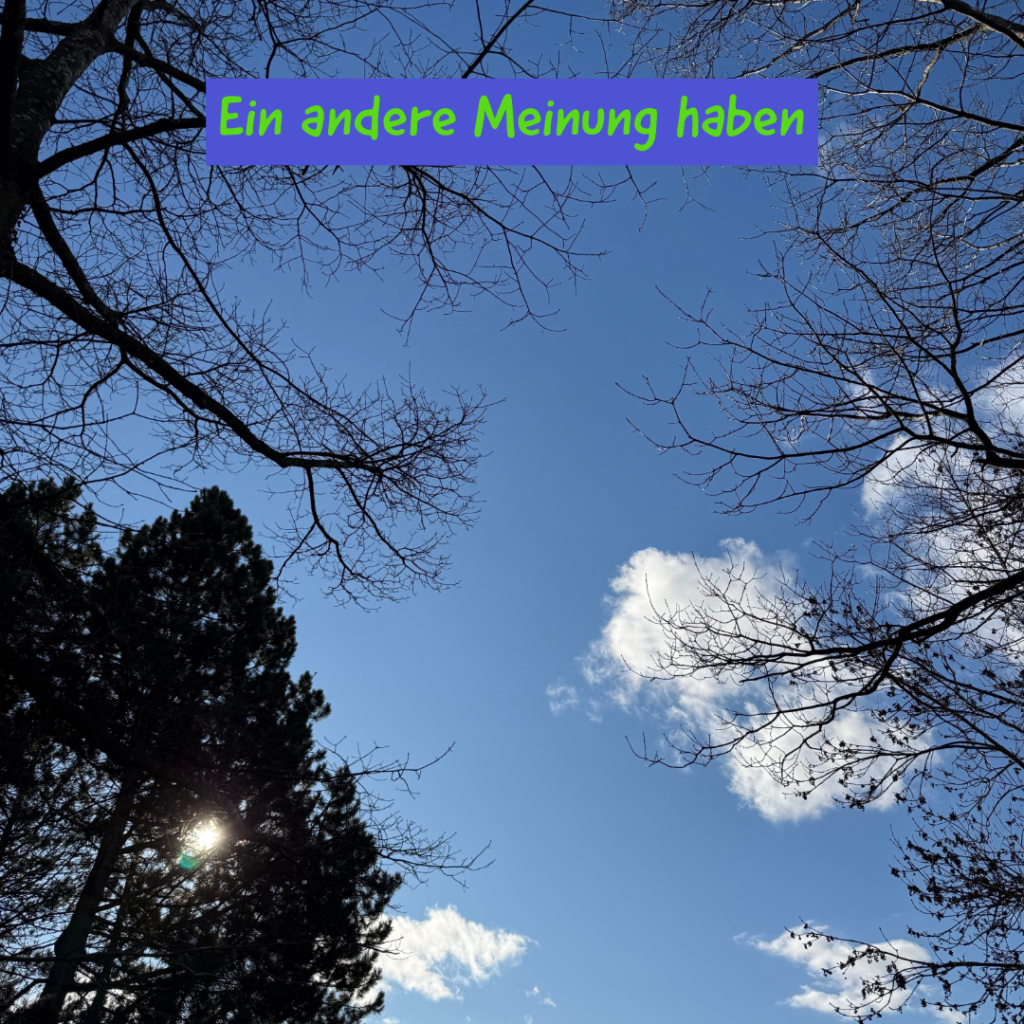 Ein andere Meinung haben 