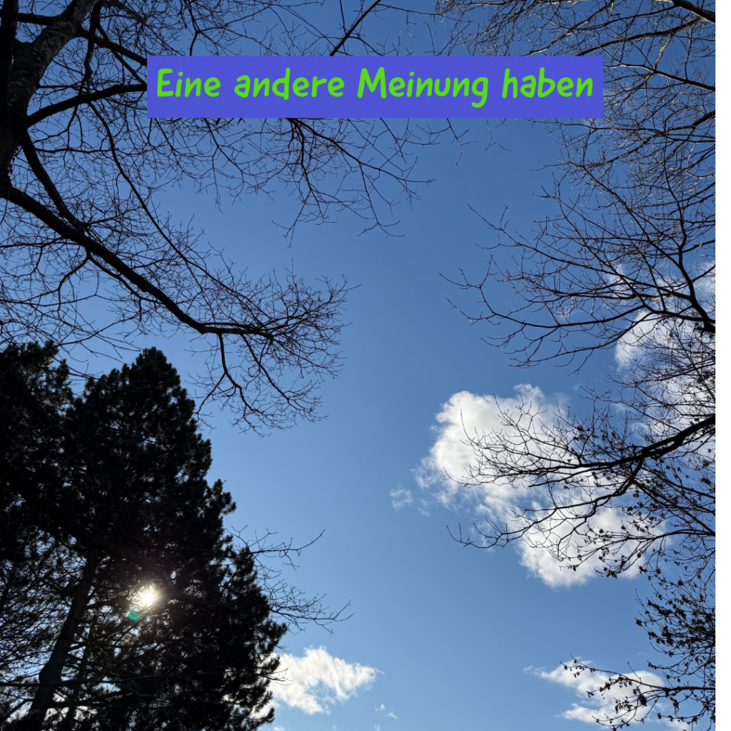 Eine andere Meinung haben 