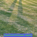 Respektvoll miteinander umgehen 