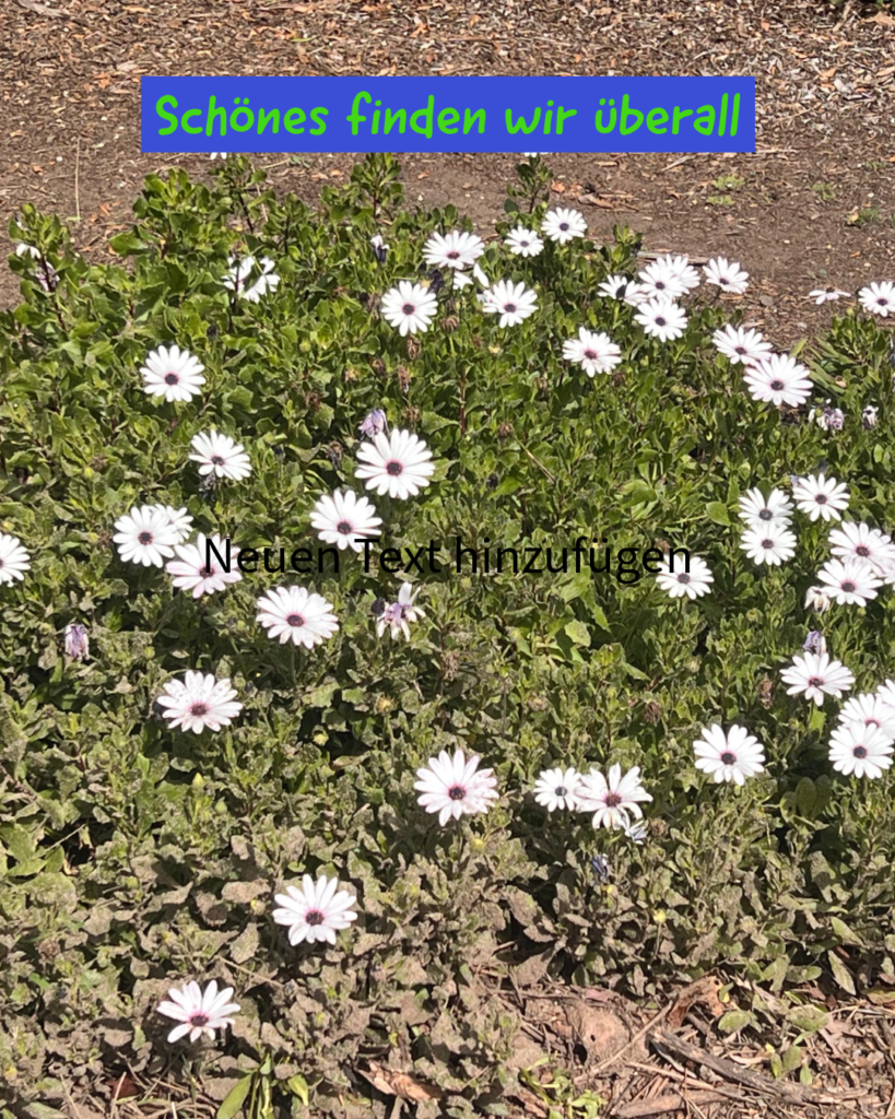 Schönes finden wir überall