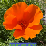 Sich der Welt öffnen