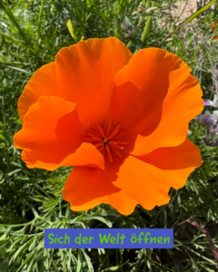 Sich der Welt öffnen