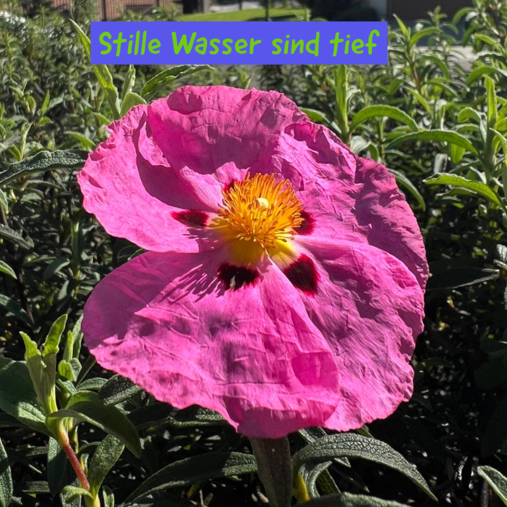 Stille Wasser sind tief 