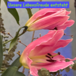 Unsere Lebensfreude entsteht 