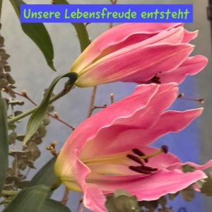 Unsere Lebensfreude entsteht 