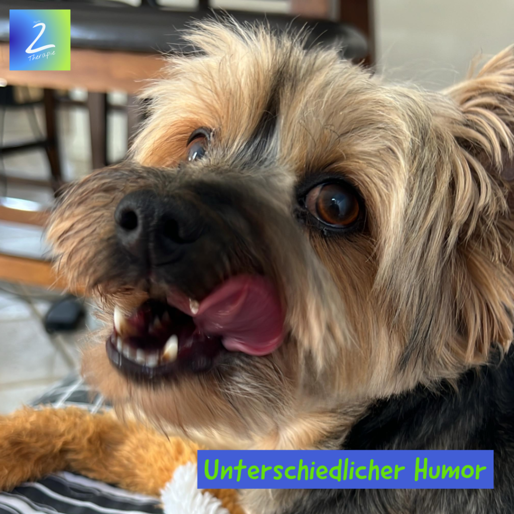 Unterschiedlicher Humor