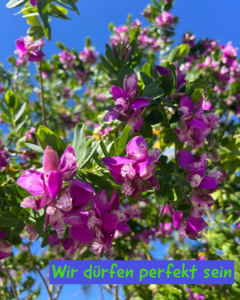 Wir dürfen Perfekt sein 