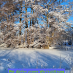 Wir dürfen unsere Wertschätzung und unseren Respekt zeigen 