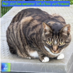 Wir dürfen unserer Intuition vertrauen 