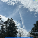 Freundlichkeit und ihre Wirkung 