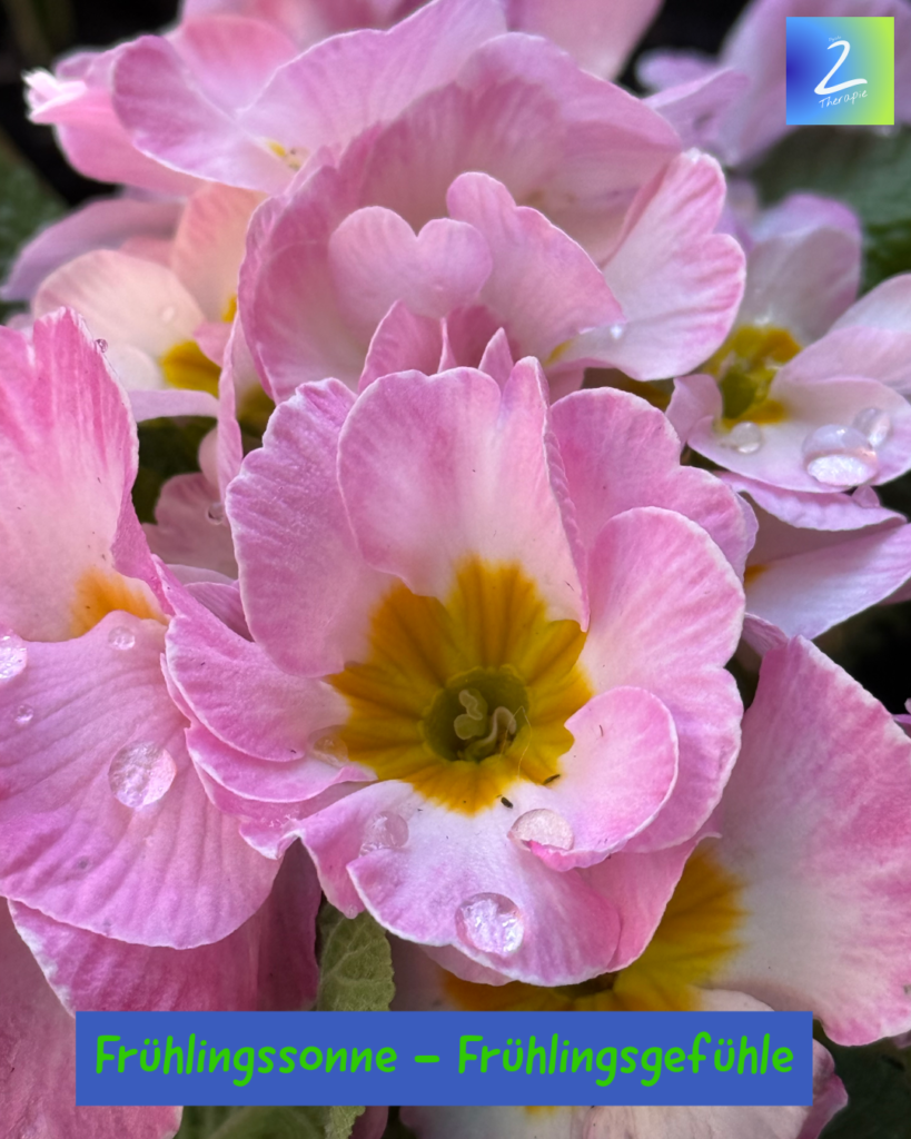 Frühlingssonne - Frühlingsgefühle 