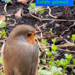 Gefahr erkannt - Gefahr gebannt 