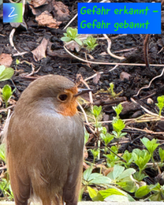 Gefahr erkannt - Gefahr gebannt 