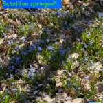 Über seinen eigenen Schatten springen