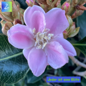 Jeder ist eine Blüte