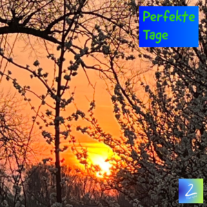 Perfekte Tage