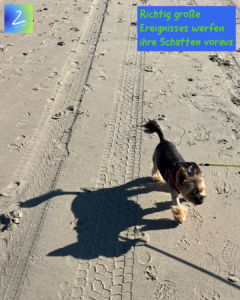 Richtig große Ereignisses werfen ihre Schatten voraus 