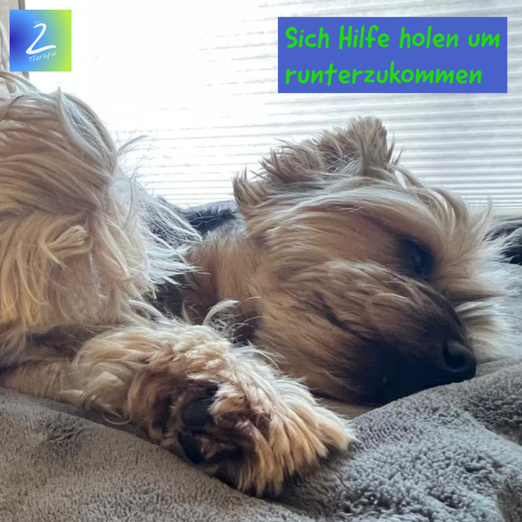 Sich Hilfe holen um runterzukommen 