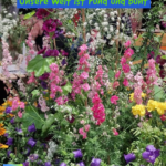 Unsere Welt ist rund und bunt