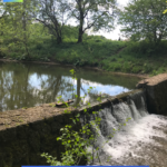 Wasser findet immer seinen Weg 