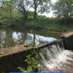 Wasser findet immer seinen Weg 