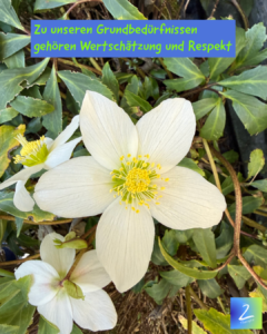 Zu unseren Grundbedürfnissen gehören Wertschätzung und Respekt