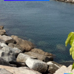 Auf geht’s zu neuen Ufern 