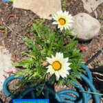 Inspirierende Sätze helfen 