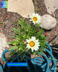 Inspirierende Sätze helfen 