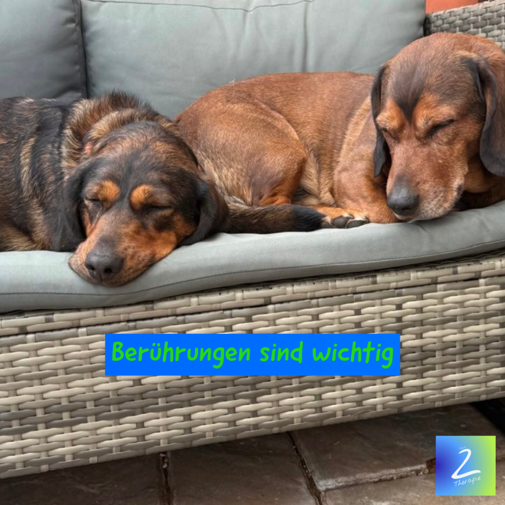 Berührungen sind wichtig 