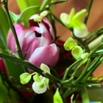 Die Feste feiern, wie sie fallen