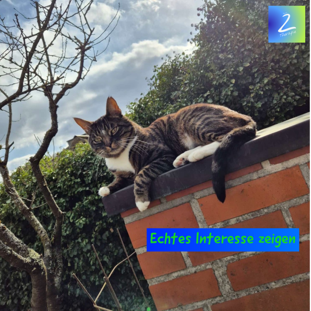 Echtes Interesse zeigen 