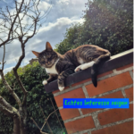 Echtes Interesse zeigen 