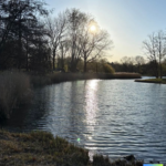 Ehrlich zu sich selbst sein