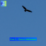 Eine 2. Chance bekommen