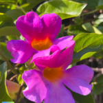 Glück ist etwas das man wollen muss 