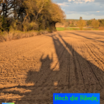 Hoch die Hände, Wochenende