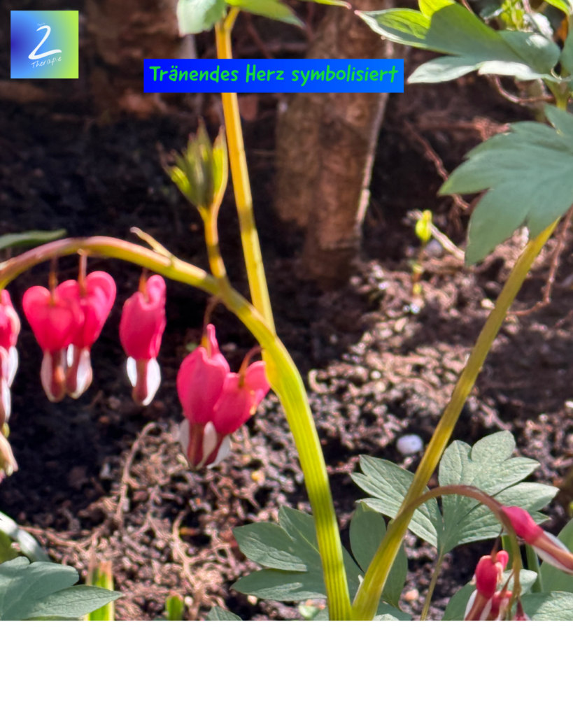 Tränendes Herz symbolisiert