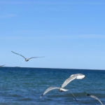 Vorbilder bieten Orientierung