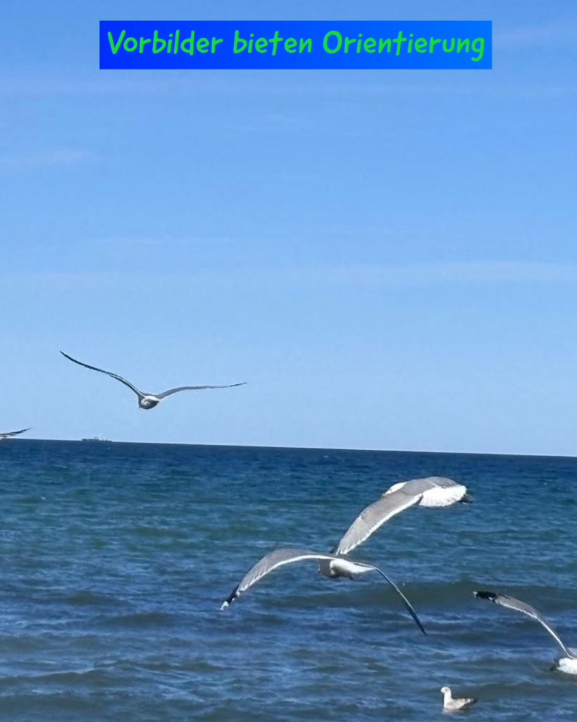 Vorbilder bieten Orientierung