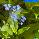 Wenn Gefühle überlaufen