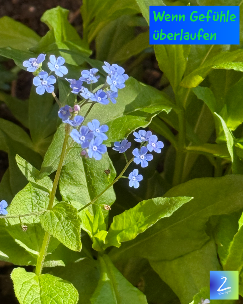 Wenn Gefühle überlaufen