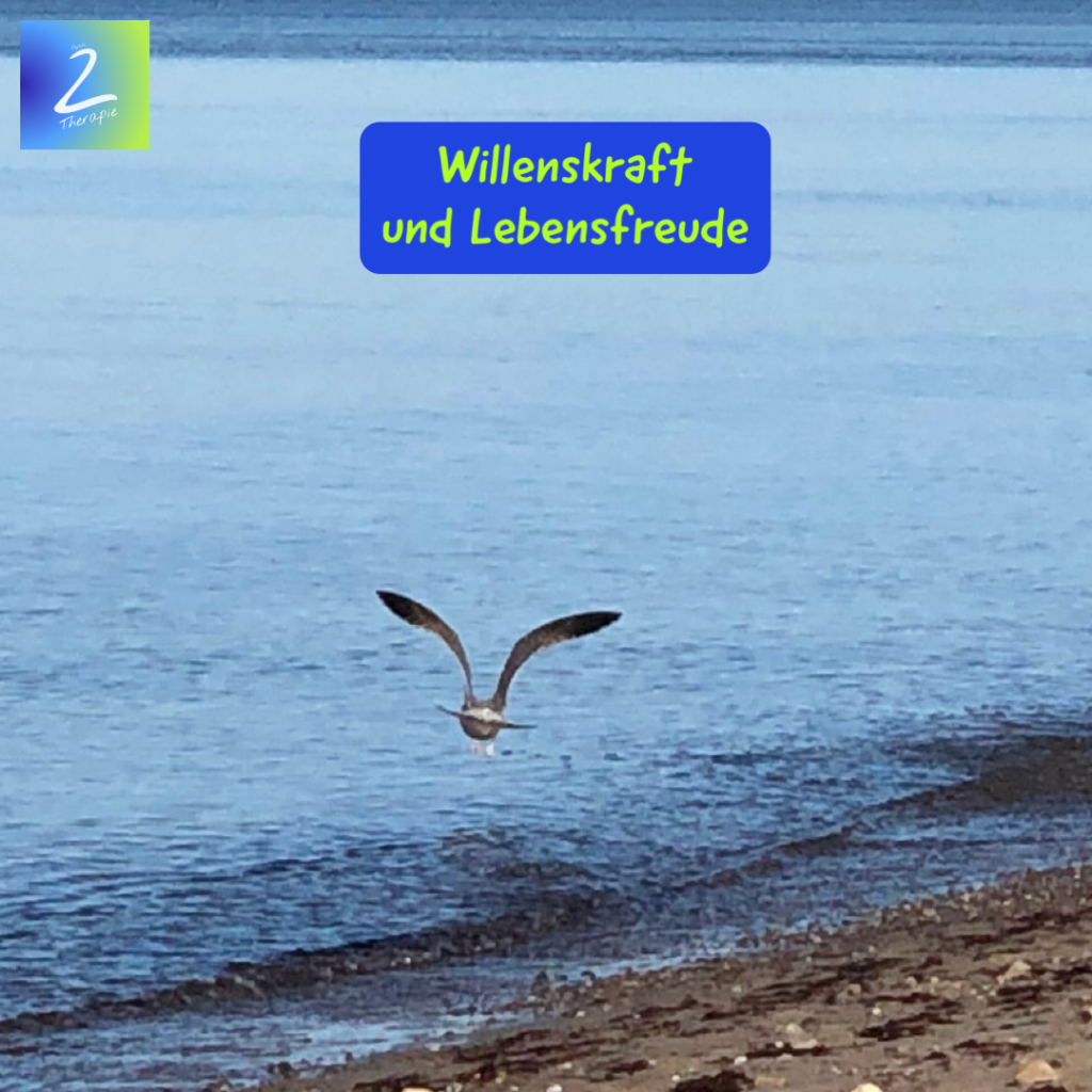 Willenskraft und Lebensfreude